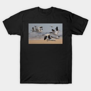 Migration of the Snows T-Shirt